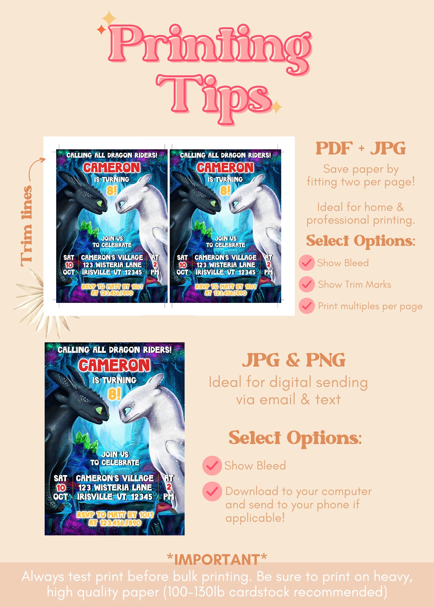 How to Train Your Dragon Birthday Invitation | Toothless Light Fury Invite | Toothless Dragon Birthday Party