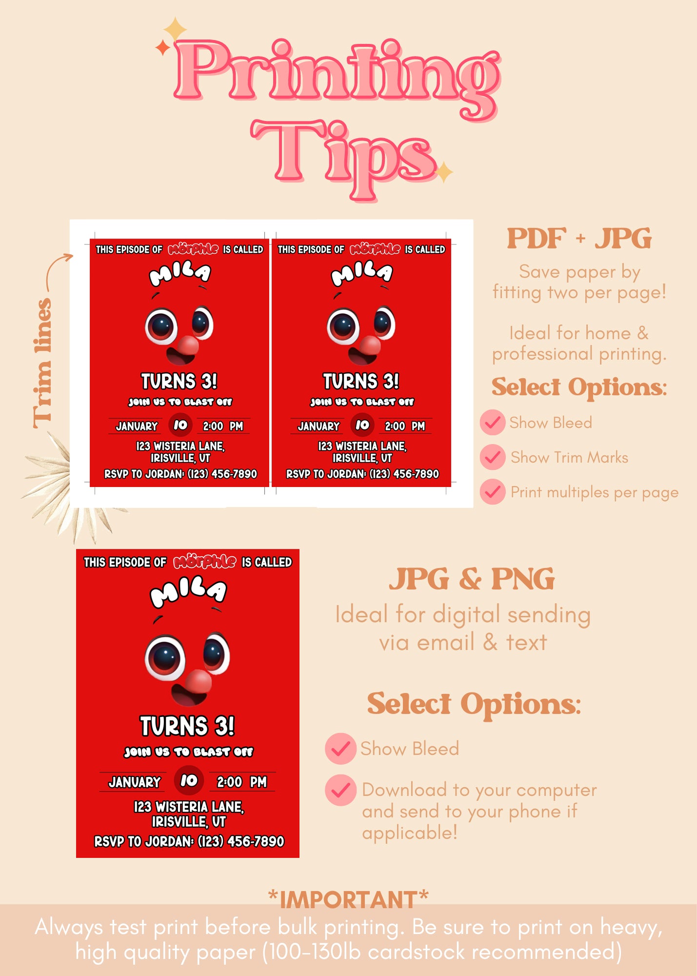 Morphle Birthday Party Invitation | Magic Pet Inspired Party Invite | Morphle Theme Party