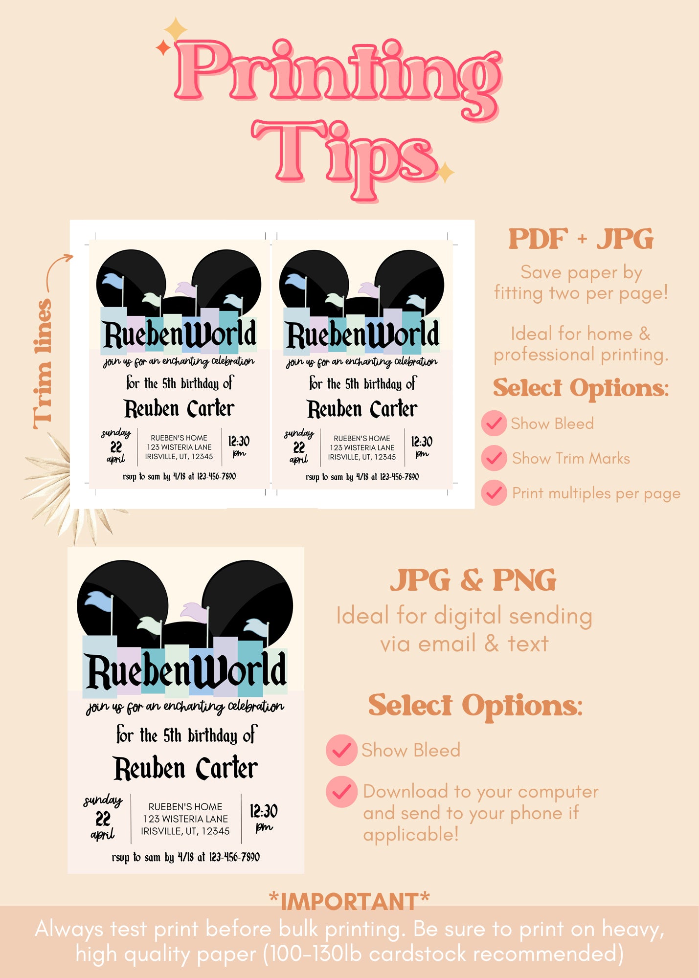 Disneyland Inspired Blue Birthday Invitation | ANY AGE Vintage Disney Park Birthday Editable Invite Template