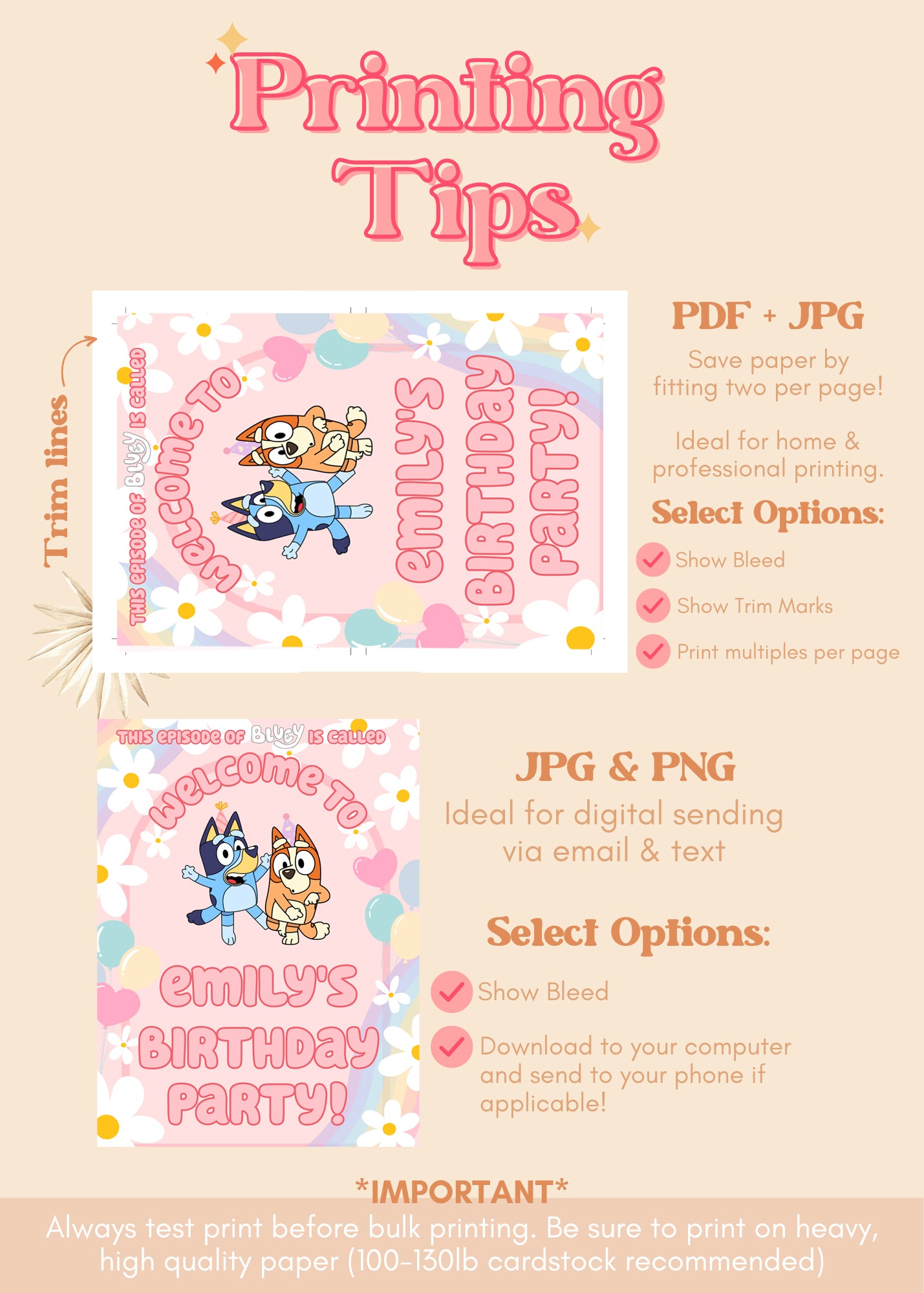 Bluey Pink Daisy Birthday Welcome Sign | Blue Heeler Party Supplies Editable Template