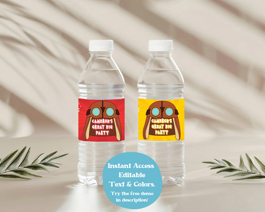 Danny Go Water Bottle Label | Great Big Birthday Party Decor | Danny Go Decor