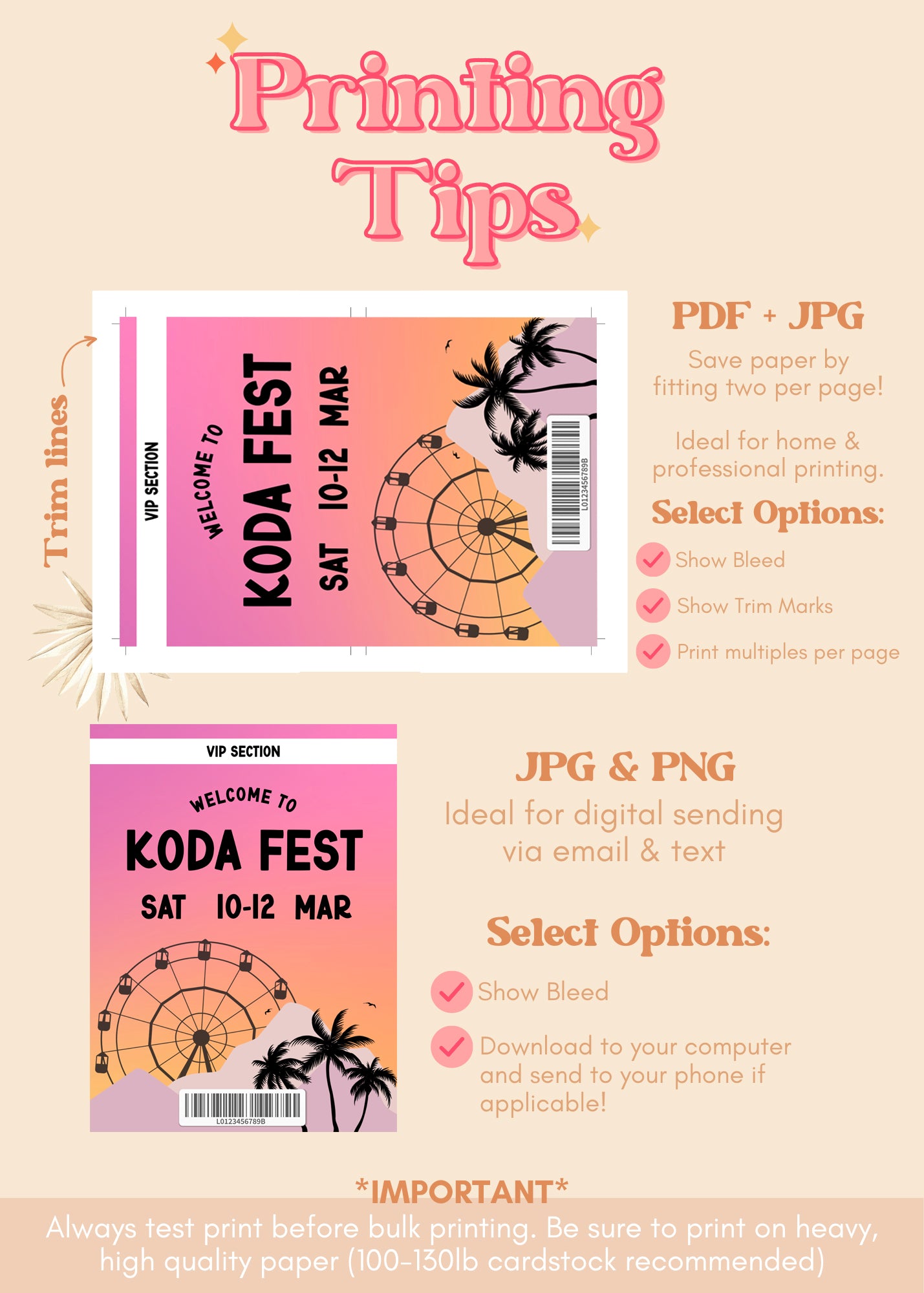 CUSTOM FEST VIP Concert Birthday Welcome Sign | Music Festival Pass Printable Party Decor