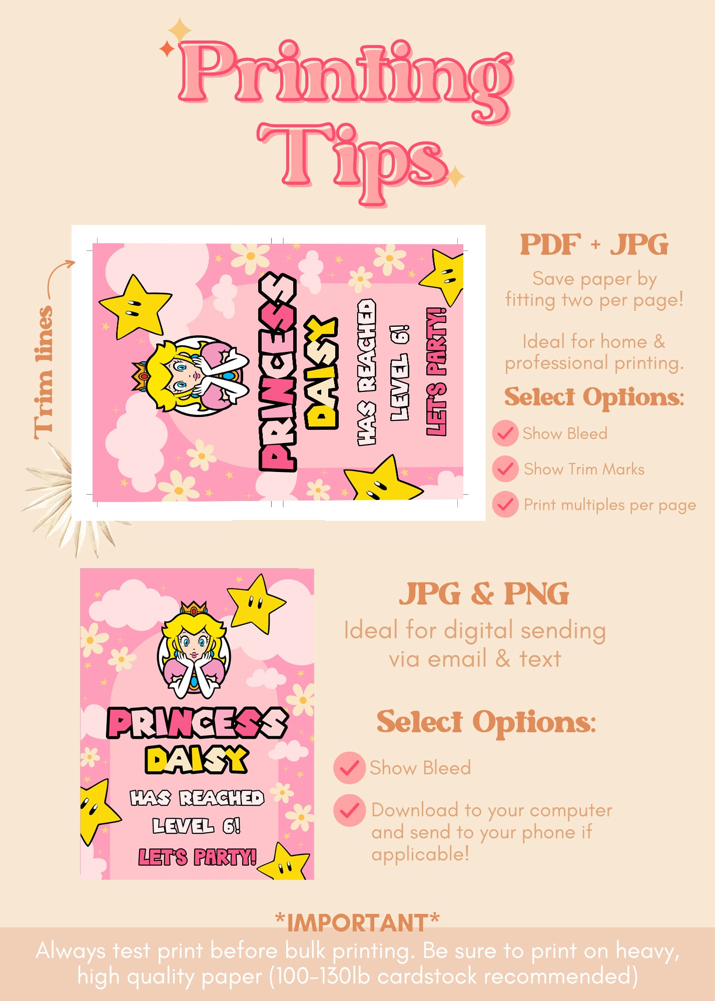 Princess Peach Themed Welcome Sign | Princess Peach Printable Party Supplies | Peach Inspired Birthday Party | Super Mario Birthday