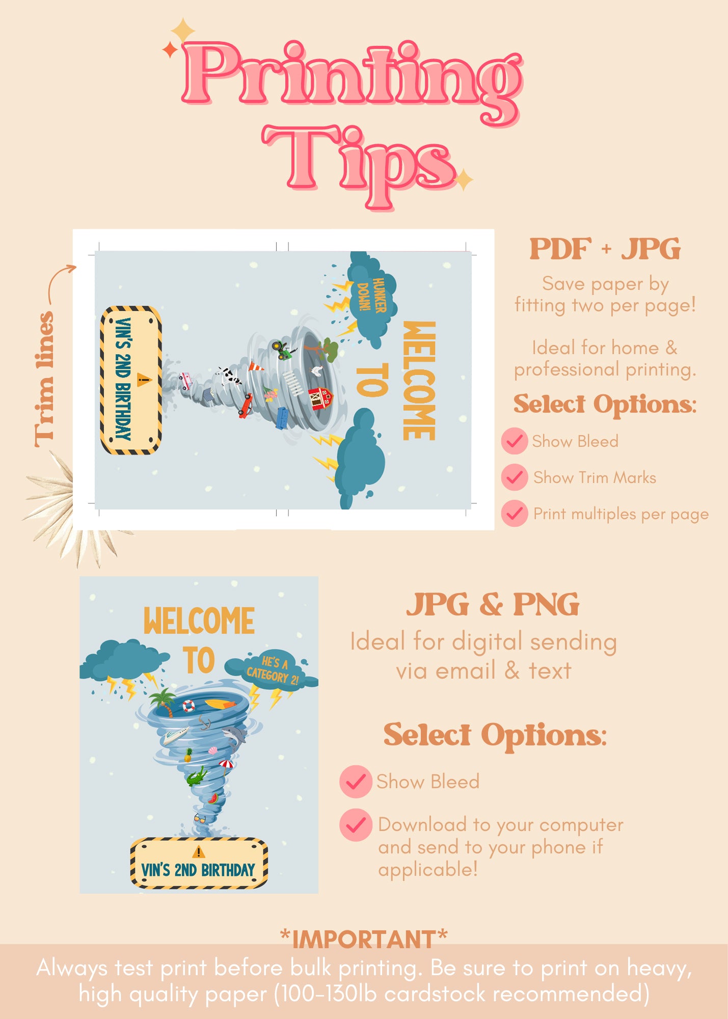 TWONADO / FOURNADO Birthday Welcome Sign | Tornado Printable Party Supplies | Storm Hurricane Theme Welcome Sign