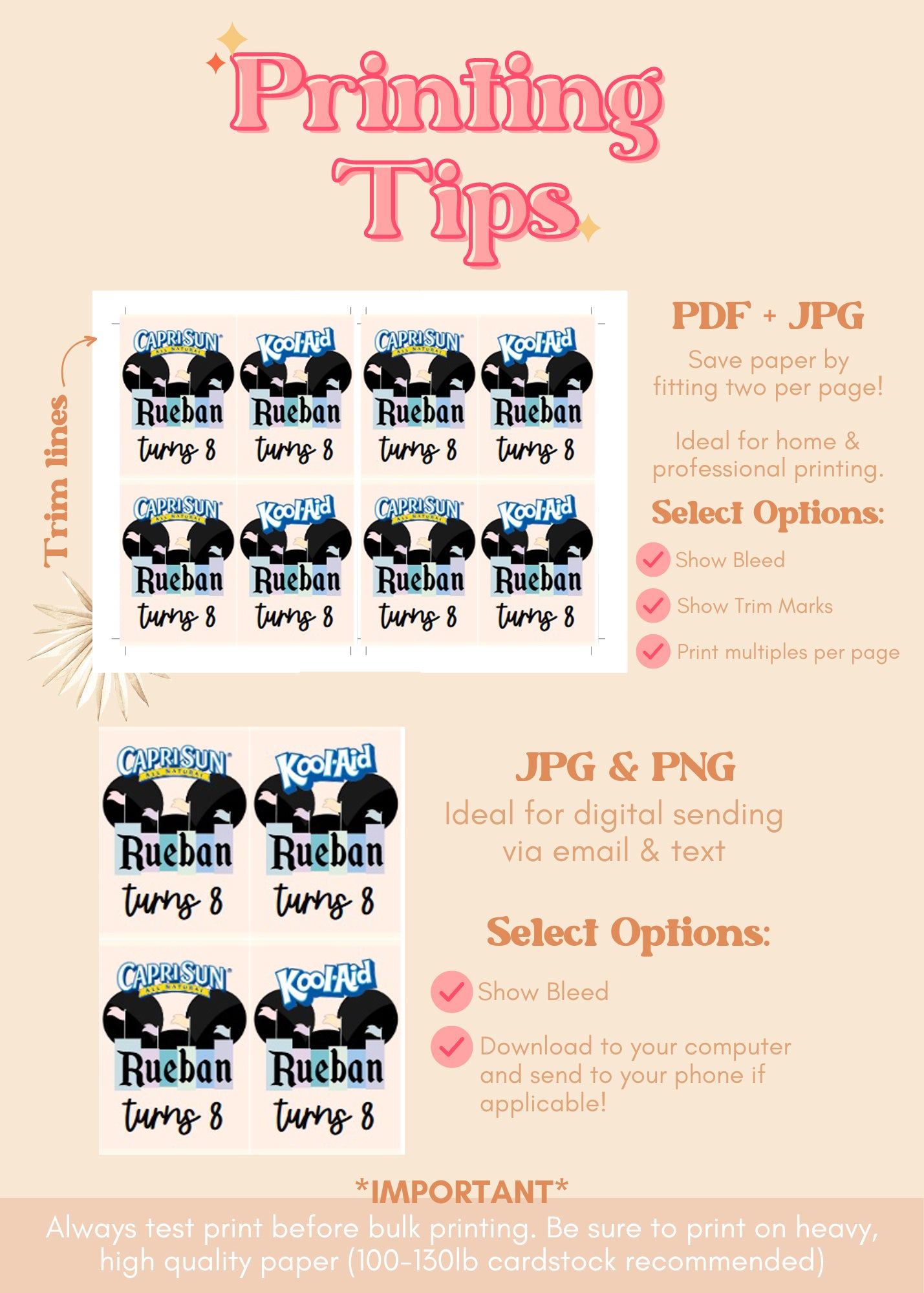 Disneyland Juice Pouch Label | Vintage Theme Park Printable Party Decor | Capri Sun Koolaid Jammers Label | Disney Boy Birthday