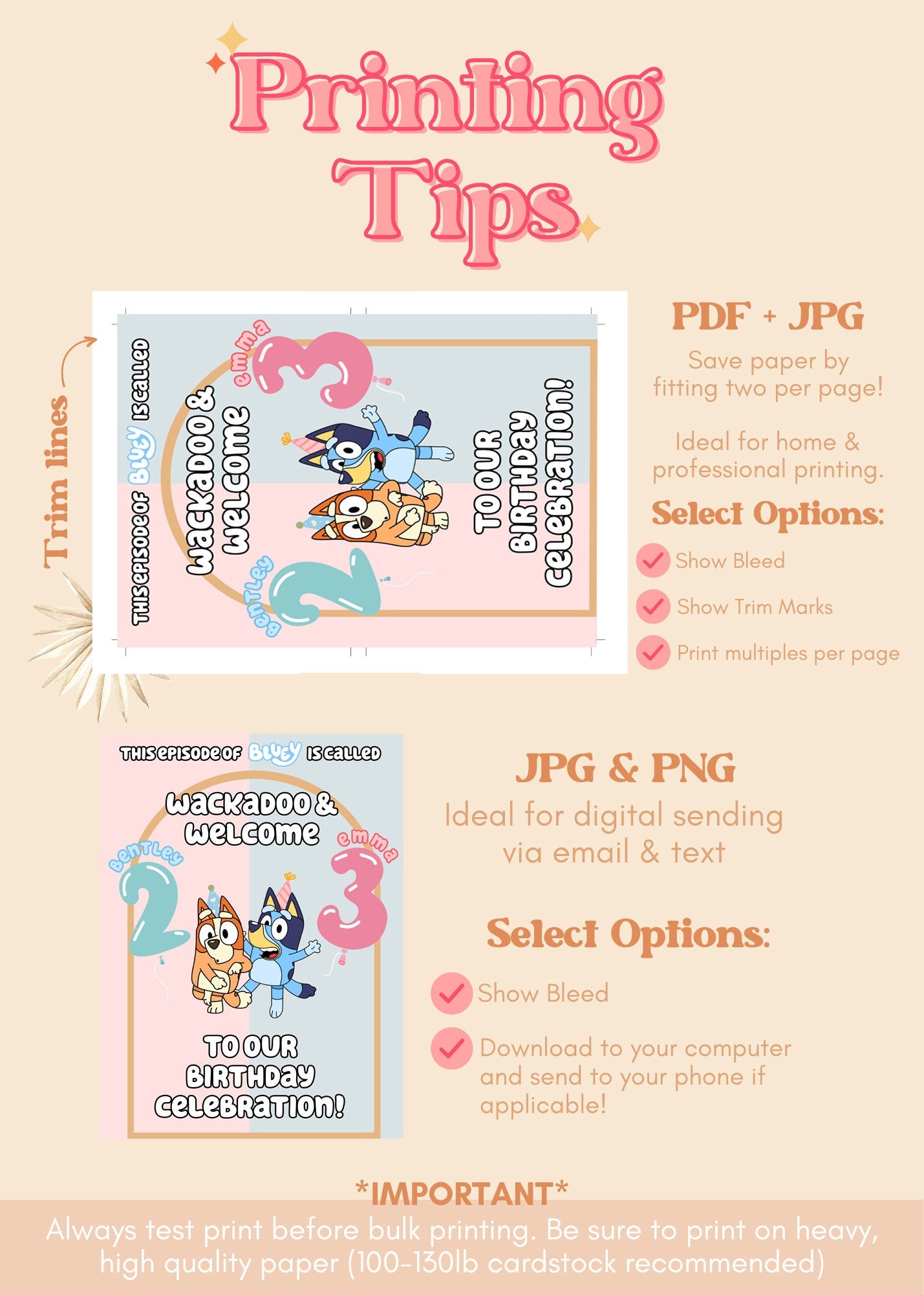 Aussie Dog Inspired Birthday Welcome Sign | Pink Dog Birthday Party Sign | Blue Heeler Birthday | Editable Template | A03