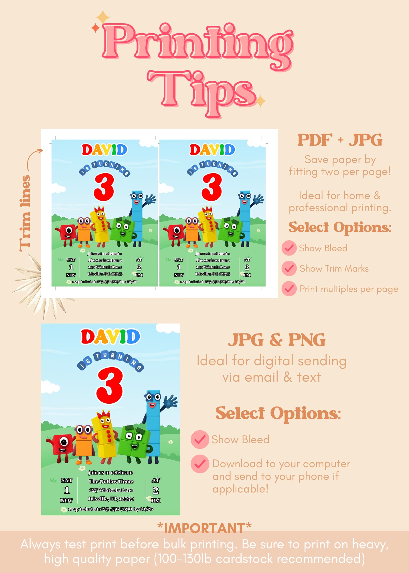 Number Blocks Birthday Invitation | Numberland ANY AGE Birthday Invite | Numberblocks Party Theme