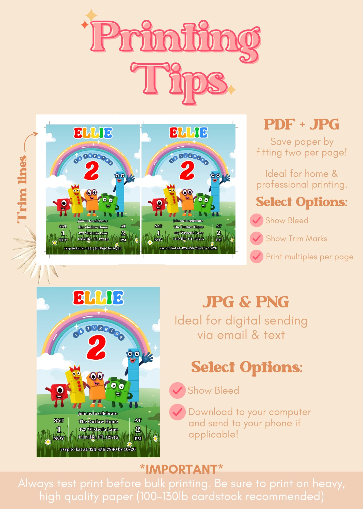 Number Blocks Birthday Invitation | Numberland ANY AGE Birthday Invite | Numberblocks Party Theme