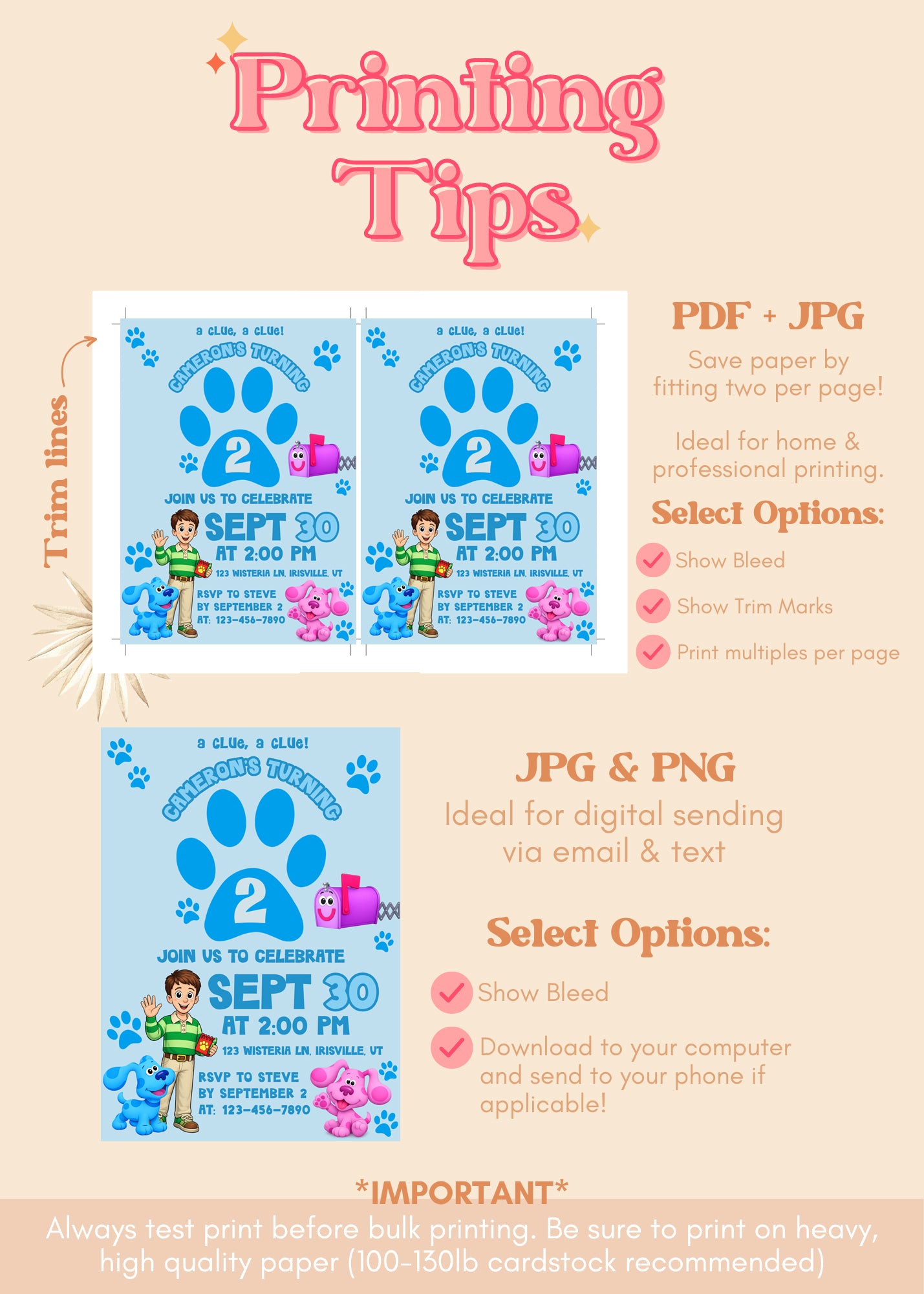 Blue's Clues Birthday Invitation | Blue's Clues ANY AGE Birthday Invite | A Clue A Clue Themed Birthday (Digital Download)