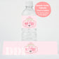 Classic Minnie Mouse Birthday Water Bottle Label | Vintage Disneyland Sweet Store Birthday
