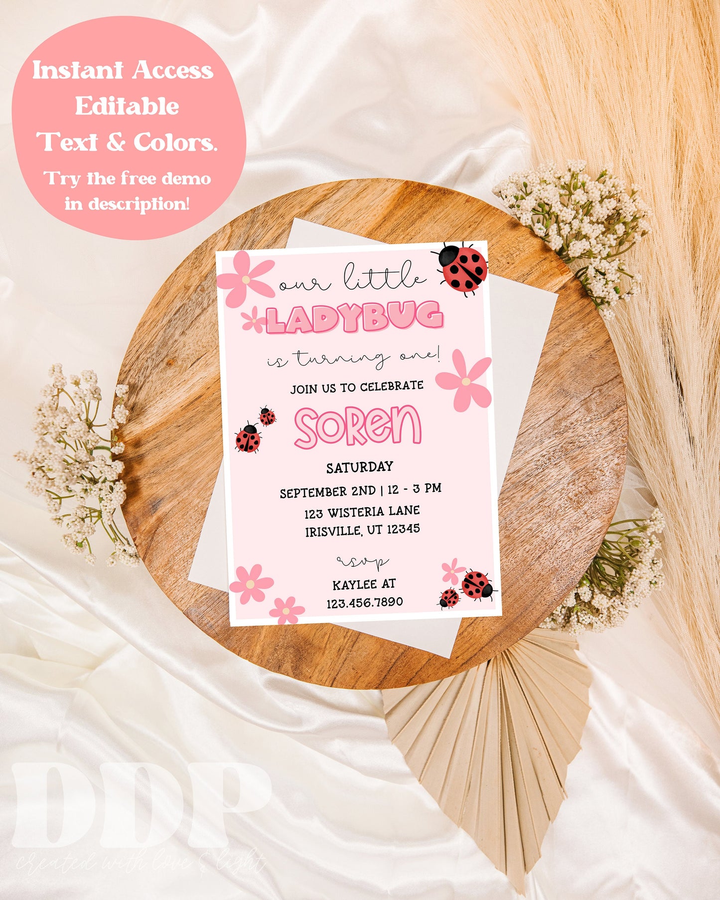 ANY AGE Modern Ladybug Birthday Party Invitation | Little Lady Birthday Invite | Spring Summer Birthday | Ladybug Birthday Invite