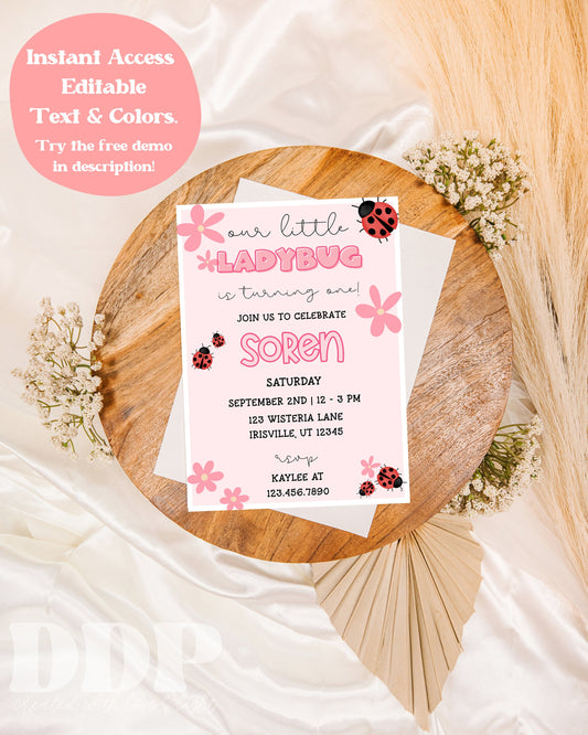 ANY AGE Modern Ladybug Birthday Party Invitation | Little Lady Birthday Invite | Spring Summer Birthday | Ladybug Birthday Invite