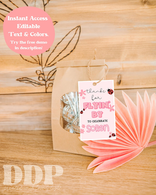 Ladybug Birthday Gift Tag Template | Boho Ladybug Gift Label | Pink Birthday Gift Tag | Boho Pink Ladybug Birthday Favor Tag